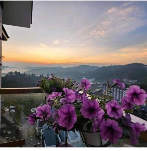 Kensington Sunrise Sg, Palas Horizon,Kea Farm Brinchang Buitenkant foto
