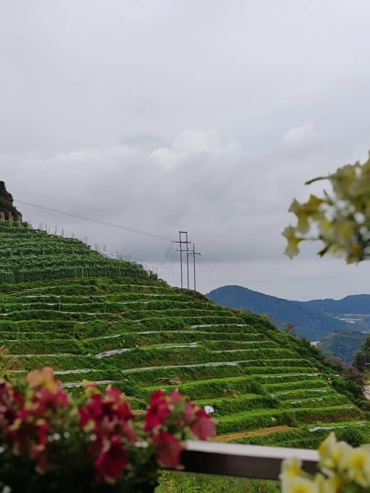 Kensington Sunrise Sg, Palas Horizon,Kea Farm Brinchang Buitenkant foto